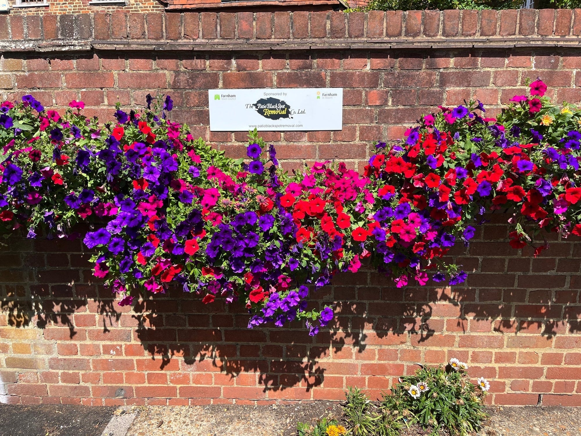 Farnham In Bloom & Patio Black Spot Removal Company