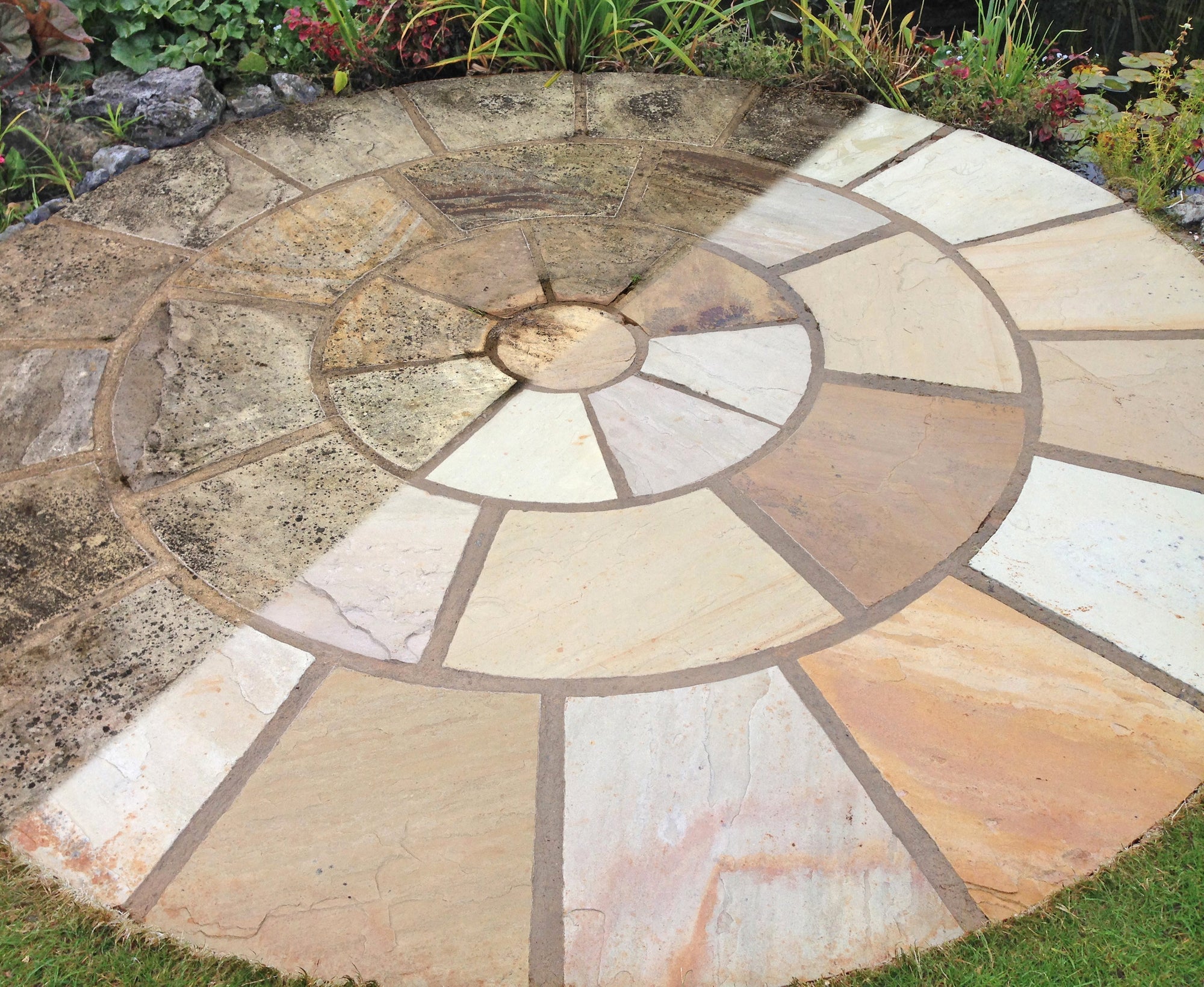 Are the Spots on My Patio Black Lichen?