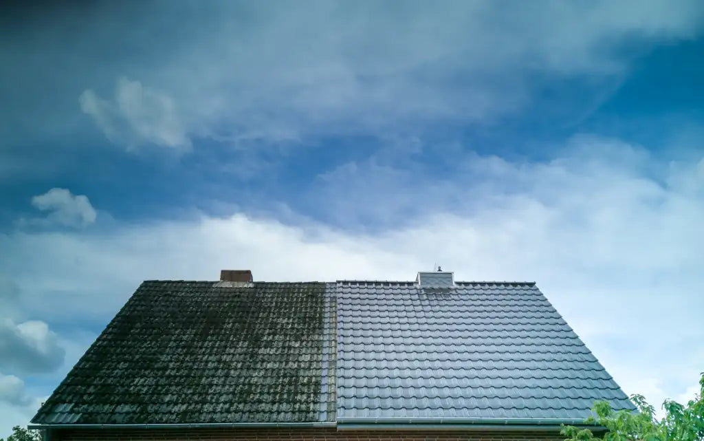 Tiled Roof Cleaning: What You Need to Know