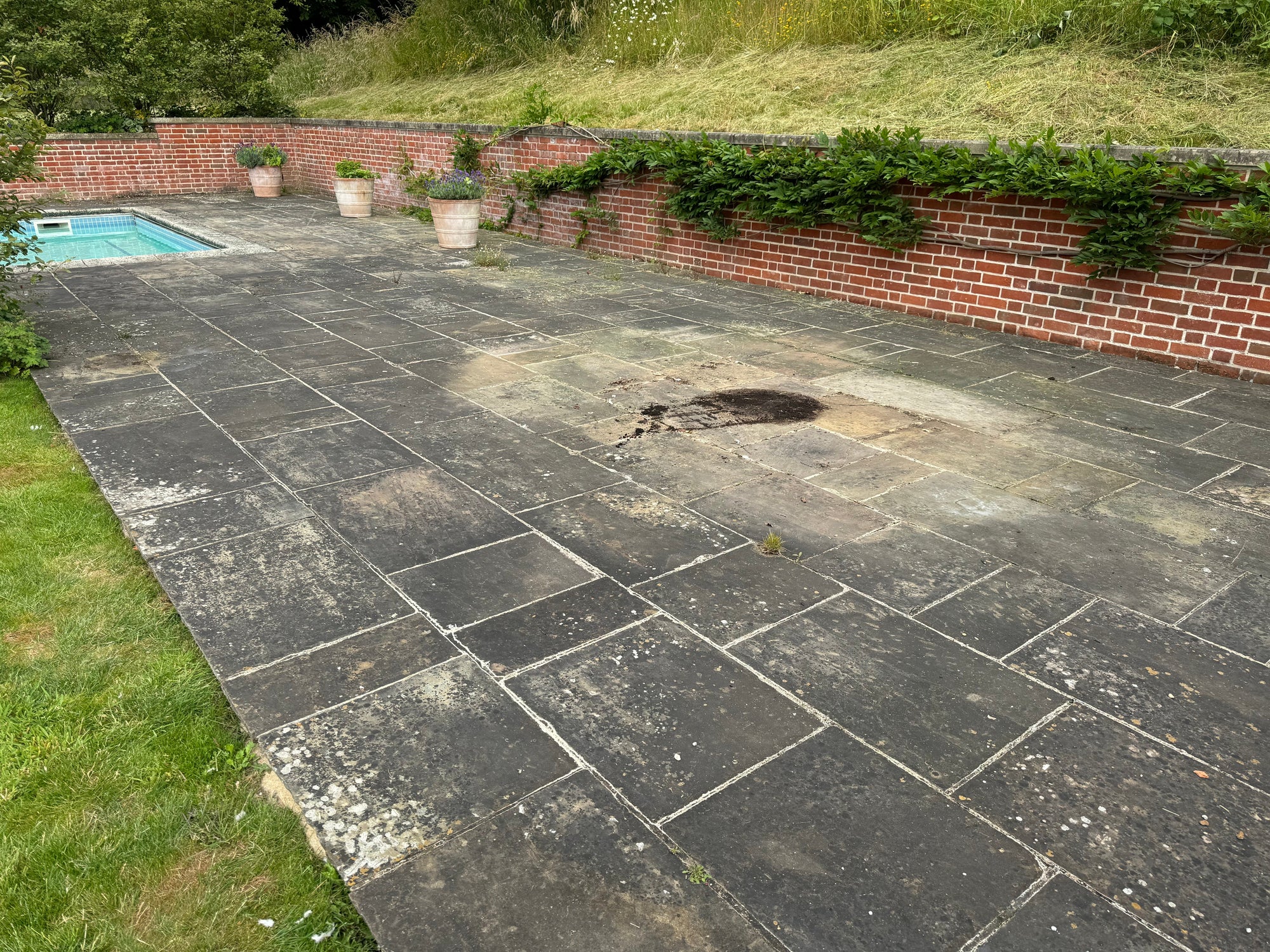 What Causes Black Spots on Patios