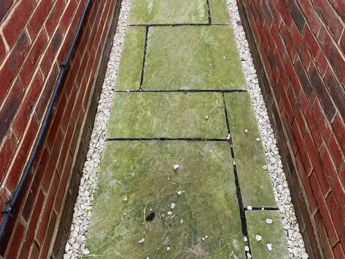 How to Remove Green Algae