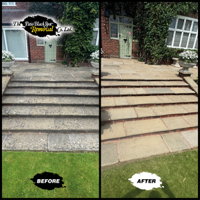 Patio Restorer & Cleaner - Stone King